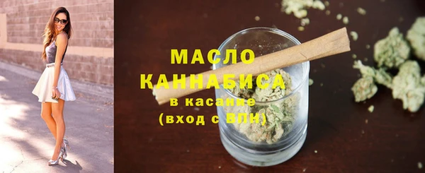 гидра Медногорск