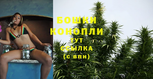 гидра Медногорск