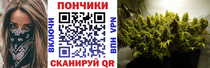 Канабис Amnesia  ОМГ ОМГ вход  Щёкино 